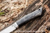 Нож Сибирь из кованой Х12МФ, стаб. дерево фото 3